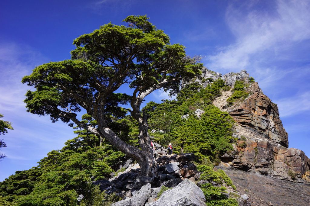 世紀奇峰-大霸尖山_399108