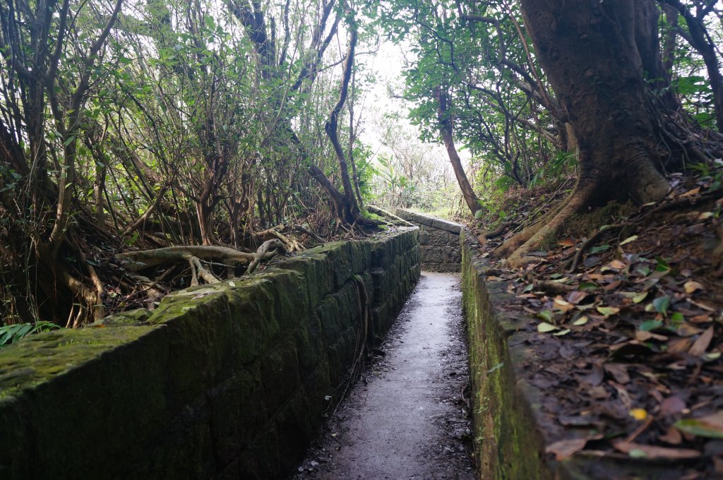 大武崙山 大武崙砲台 情人湖 連走_2037524