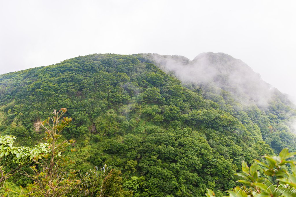 [桃園]北插天山磨練之旅_2532922