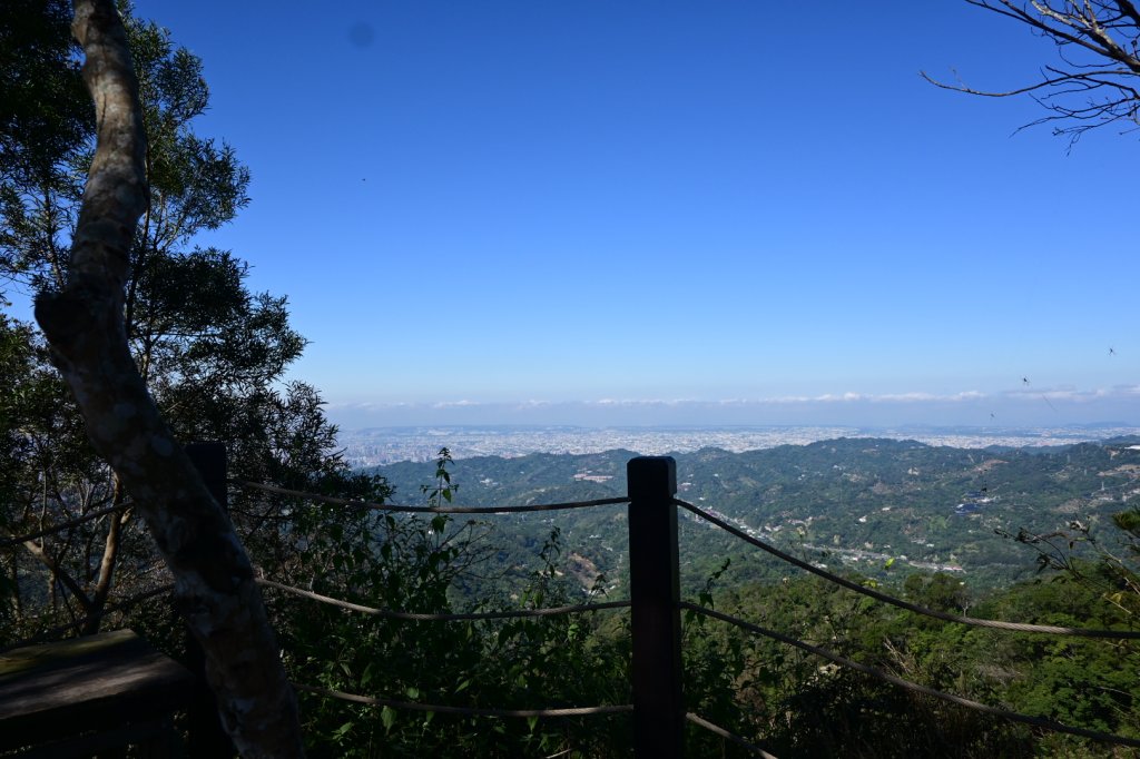 110.11.19 大坑五號、五之一號步道_1519305