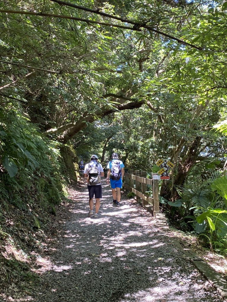 《陽明山秘境健行｜翠峰瀑布 × 天母古道 夏日涼爽路線》_2852225