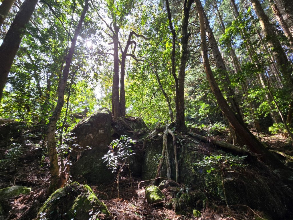 哈堪尼山_2761939