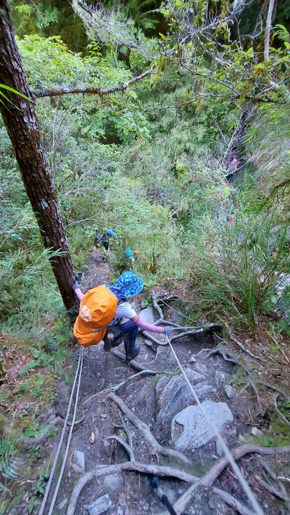 111/07/23畢羊縱走DAY 1(大禹嶺-820林道-畢祿山-鋸東山屋)_1777431
