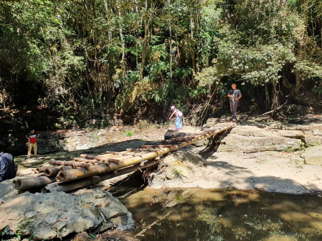 澀水森林步道_1125620