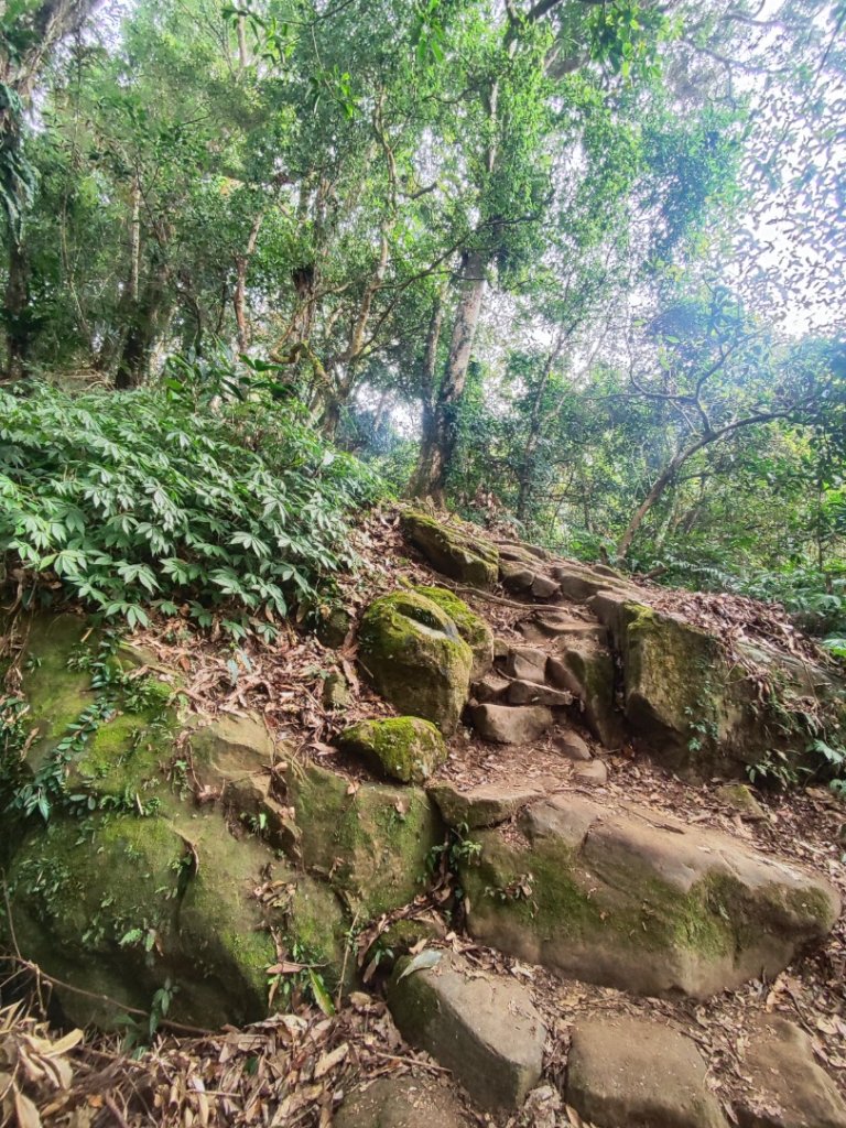 馬那邦山_2666827