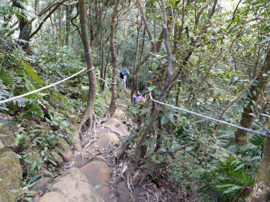 草湳登二格山(小百岳)經猴山岳下指南宮_820042