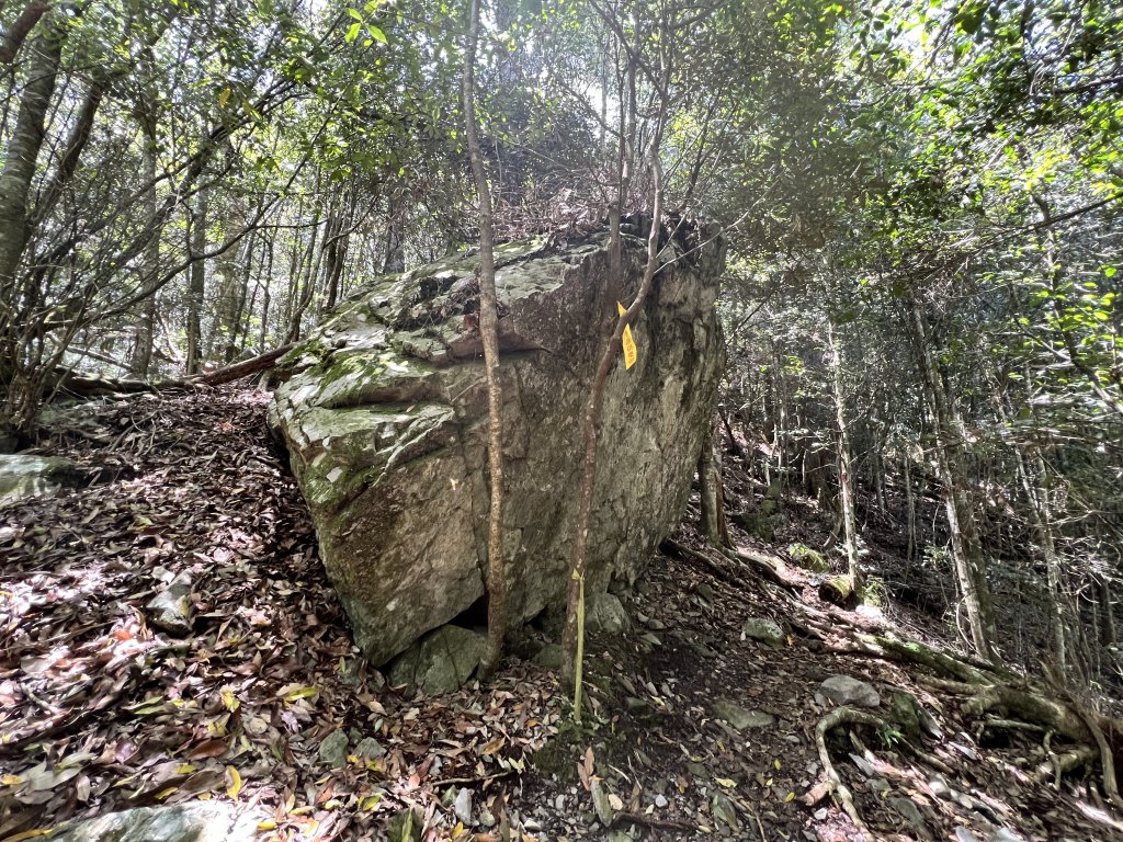 谷關 波津加 大雪山遊客中心上下來回_2115633