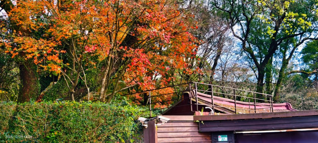 #夕陽 #火燒雲 #猴崁古道 #草山觀瀑吊橋 #住六公園 12/23_2971843