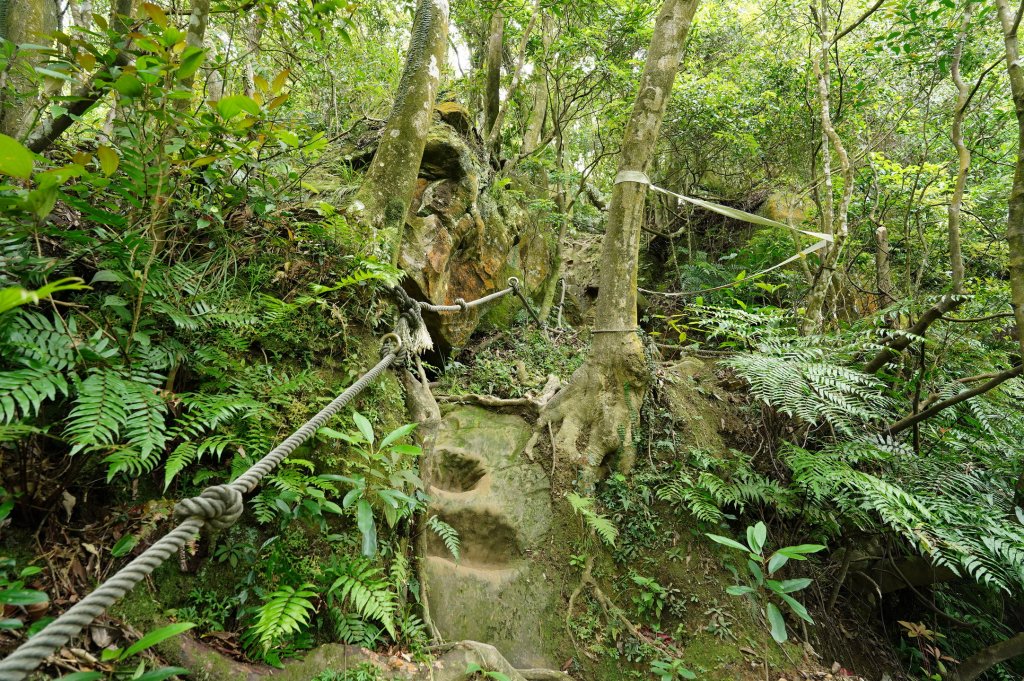 臺北 文山 指南山、猴山岳、魚衡山、大前坑山、猴山坑山、祥光寺後山、金頭山_2774972
