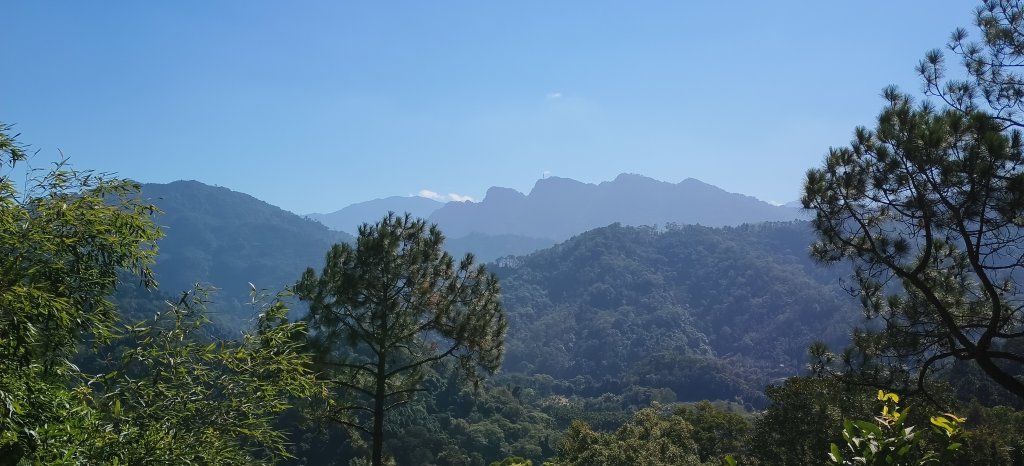 2025/11/22_大分林山步道封面圖