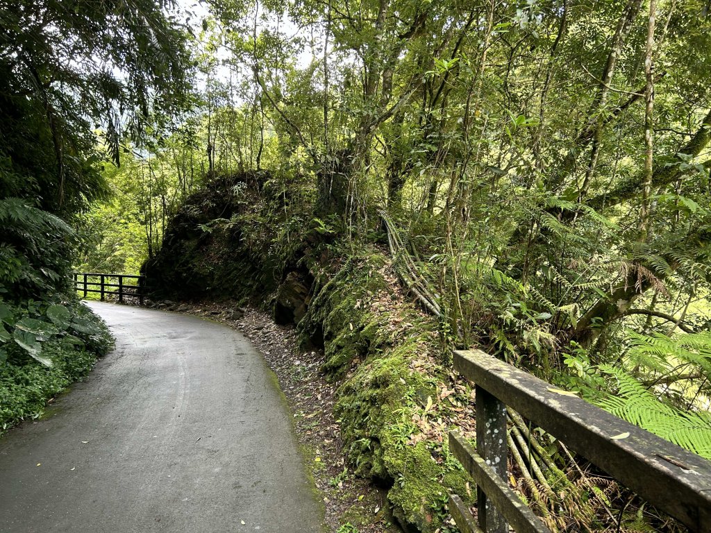 內洞國家森林遊樂區_2806867