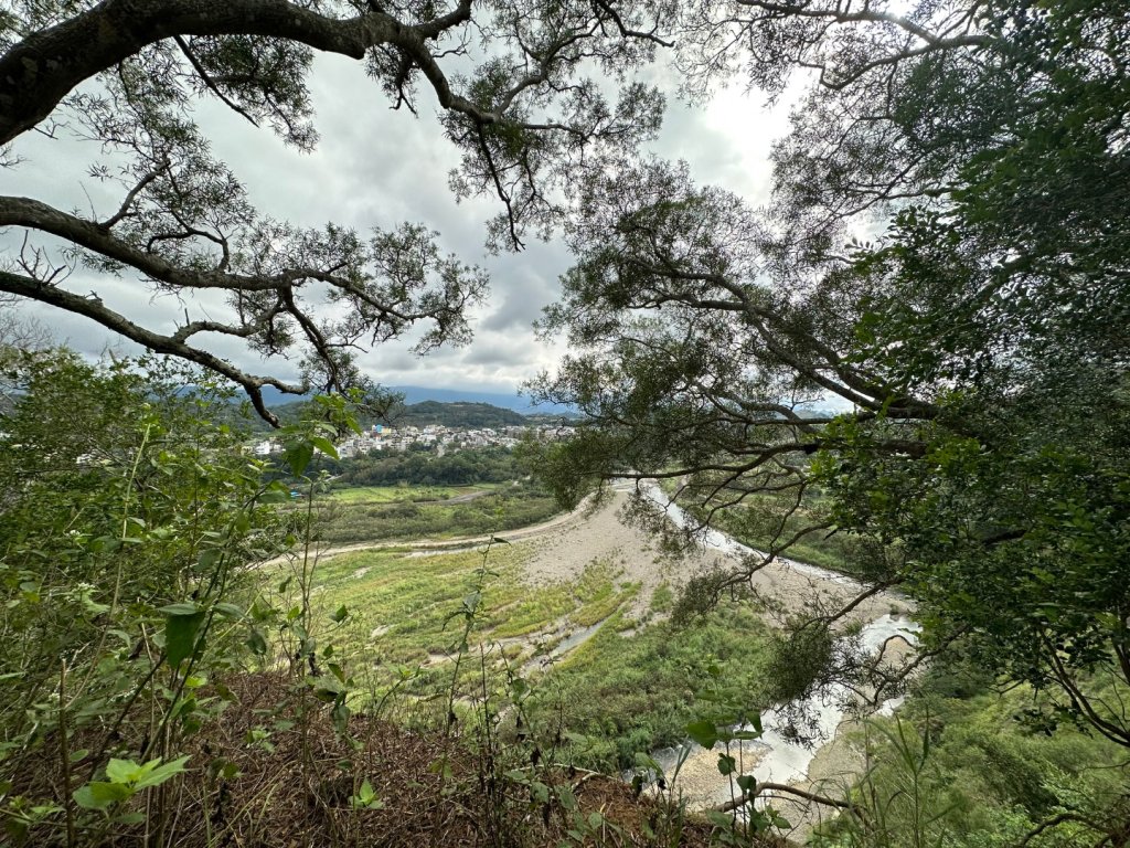 苗栗三灣-龍峎頂古道_2623341