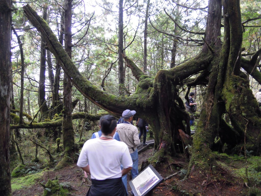 宜蘭太平山_翠峰湖&見晴懷古步道20141025_1961130