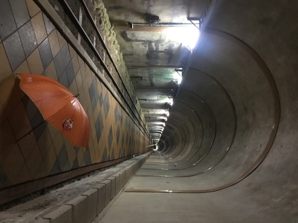 頭寮山o(慈湖、秘密花園咖啡☕️_2649022