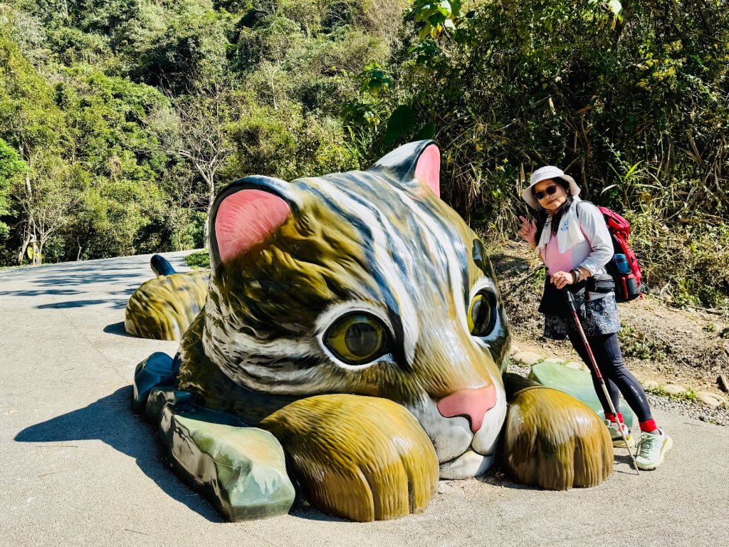 雪山坑登山步道尋巨人_2978263