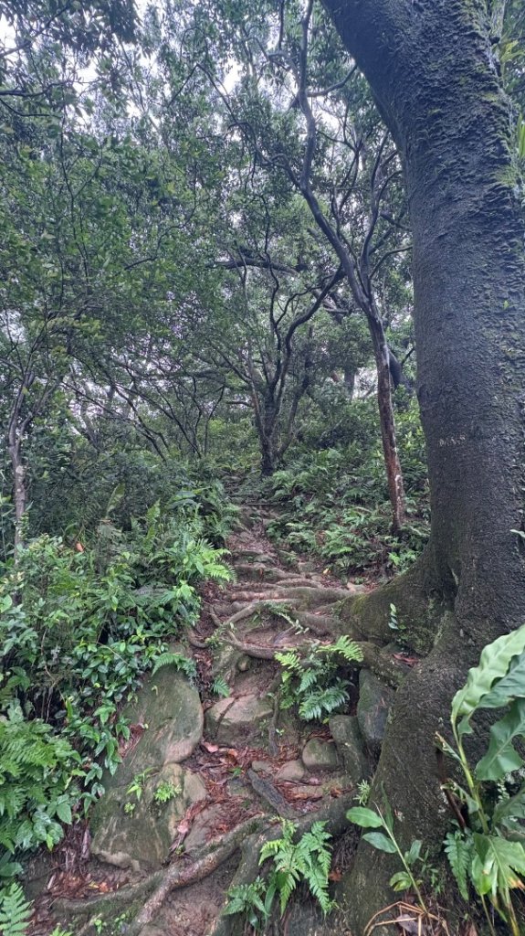 石門山_2796531