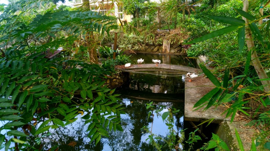 文學步道_1500341