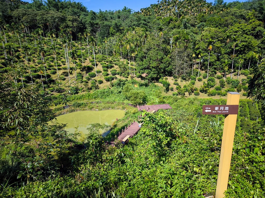 2024-08-22 澀水森林步道_2578354