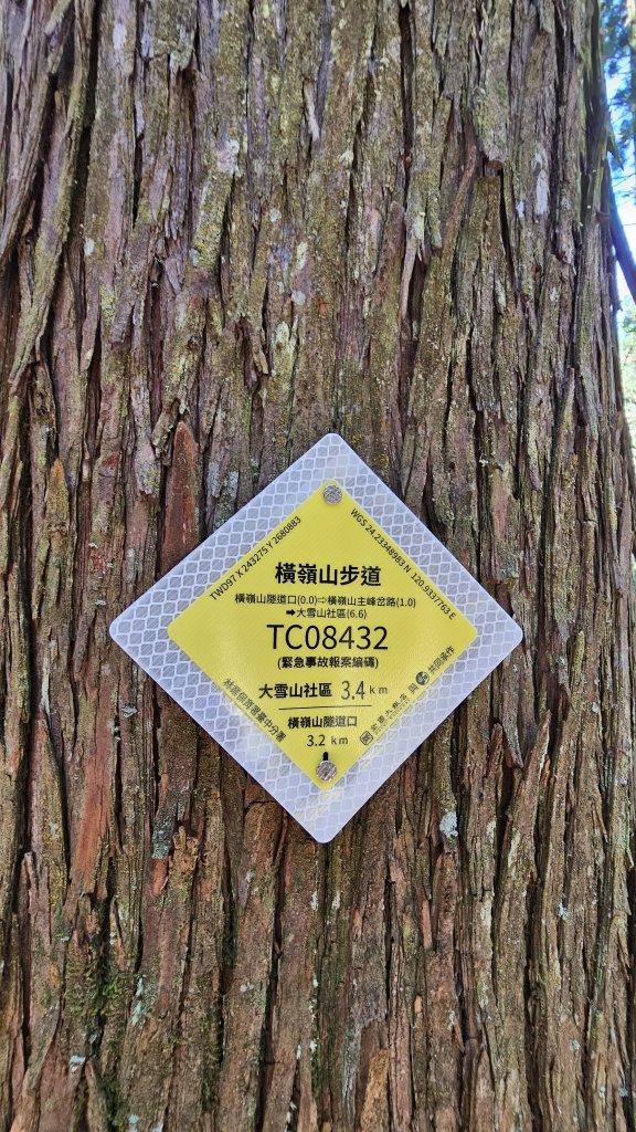 【細說大雪山木馬古道】橫嶺山、沙蓮山、笛吹山O繞_2921111