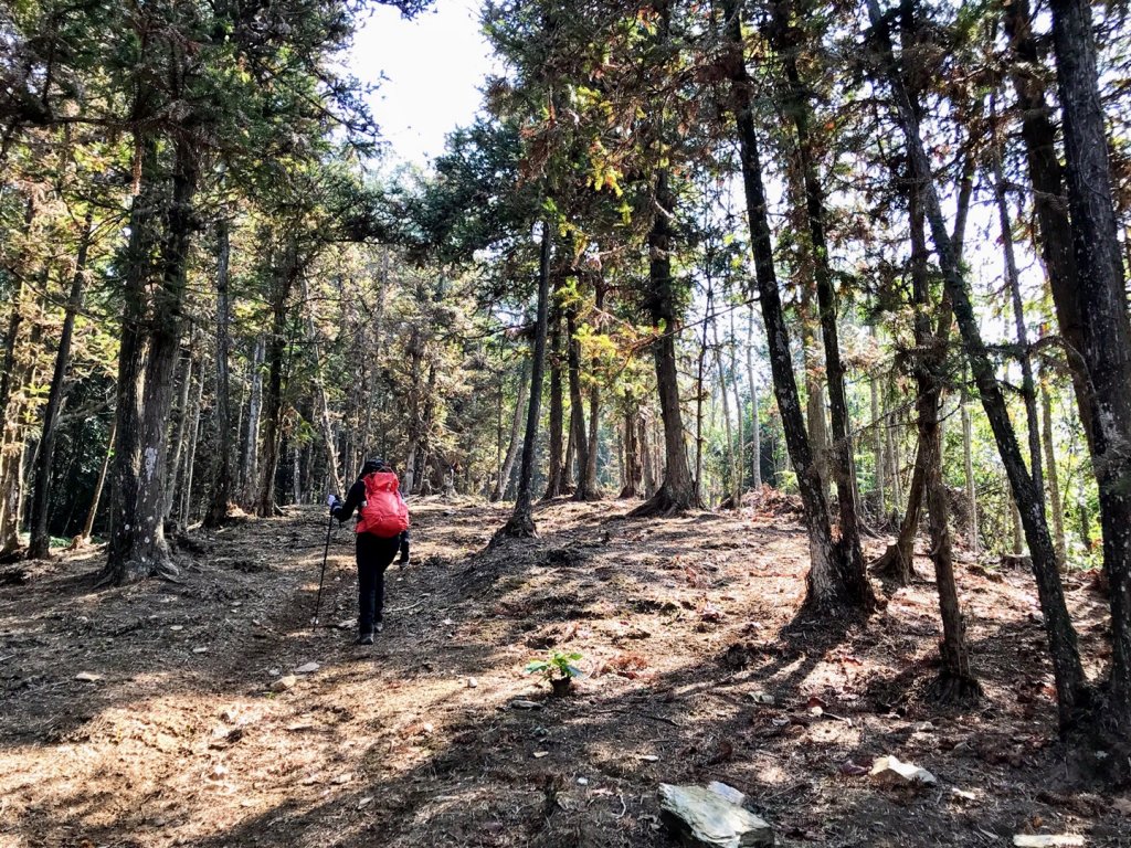 埔里蜈蚣崙走板仔寮山封面圖