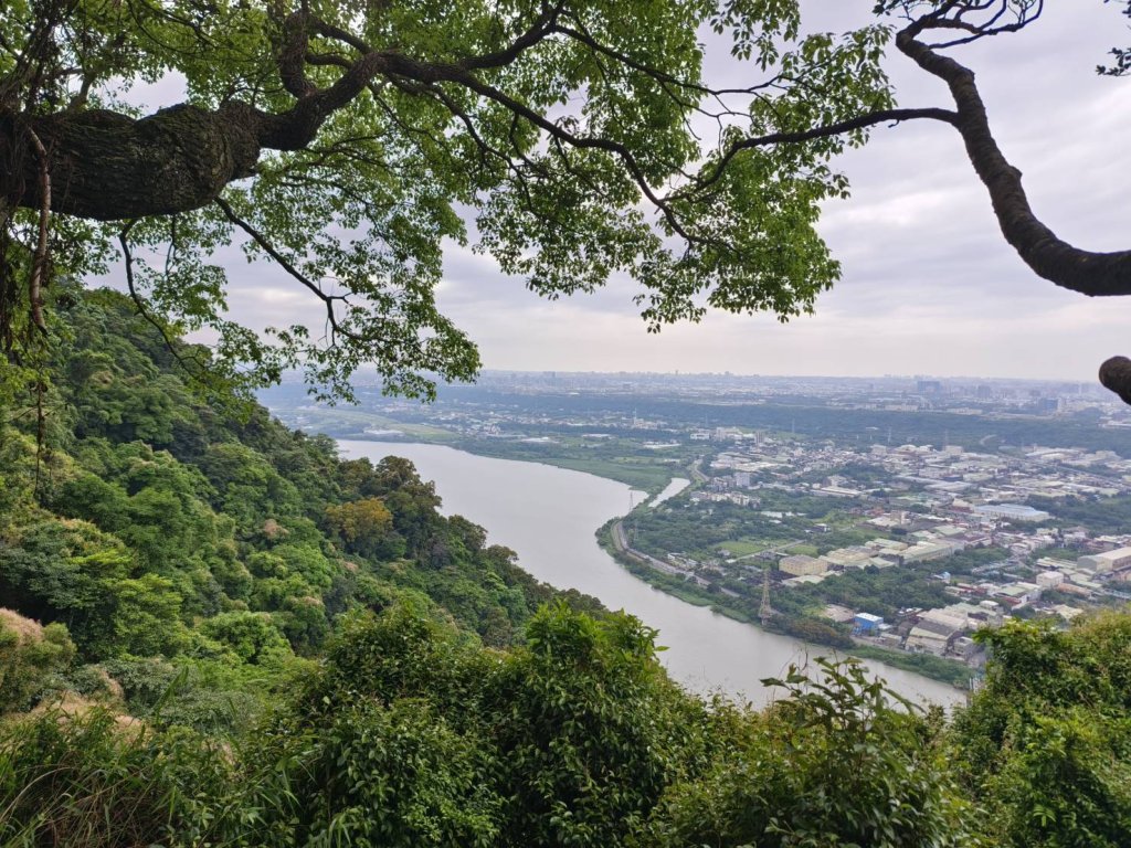 新北市-福德坑山封面圖
