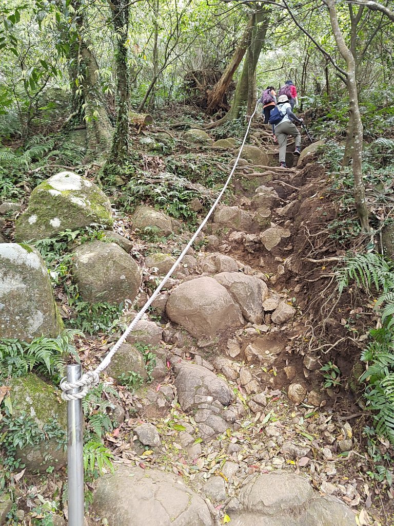 臺北大縱走第二段 二子坪至小油坑_2747490