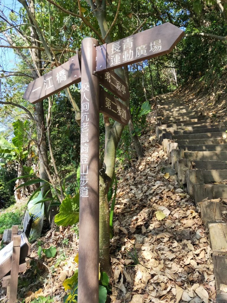 小百岳(43)-三汀山-20200123~【2020全家總動員~28分之03】_1716044