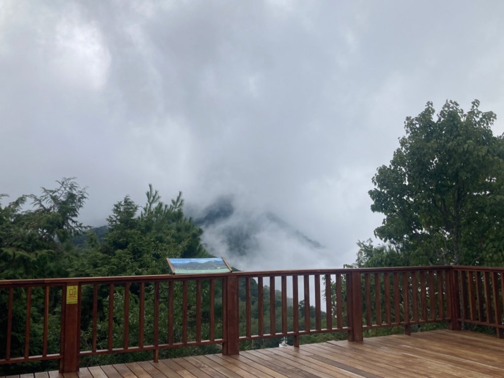 雲霧步道_2316068