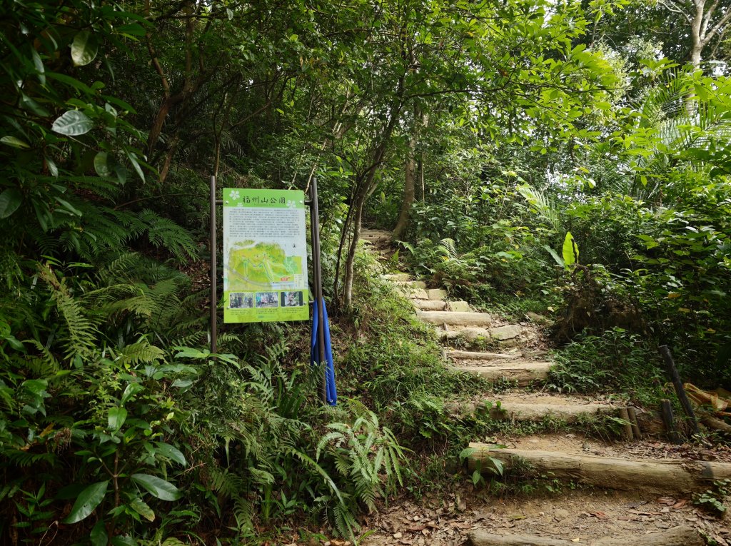 [淡蘭古道] 2026_0523 南路第一段_福州山步道封面圖