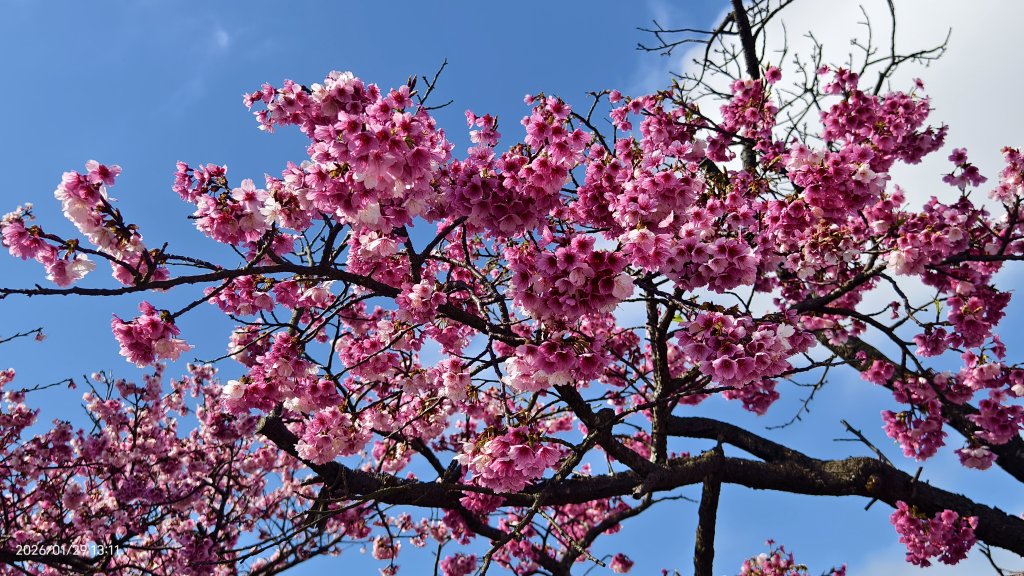 天元宮了嗎？2/3&10_2992615