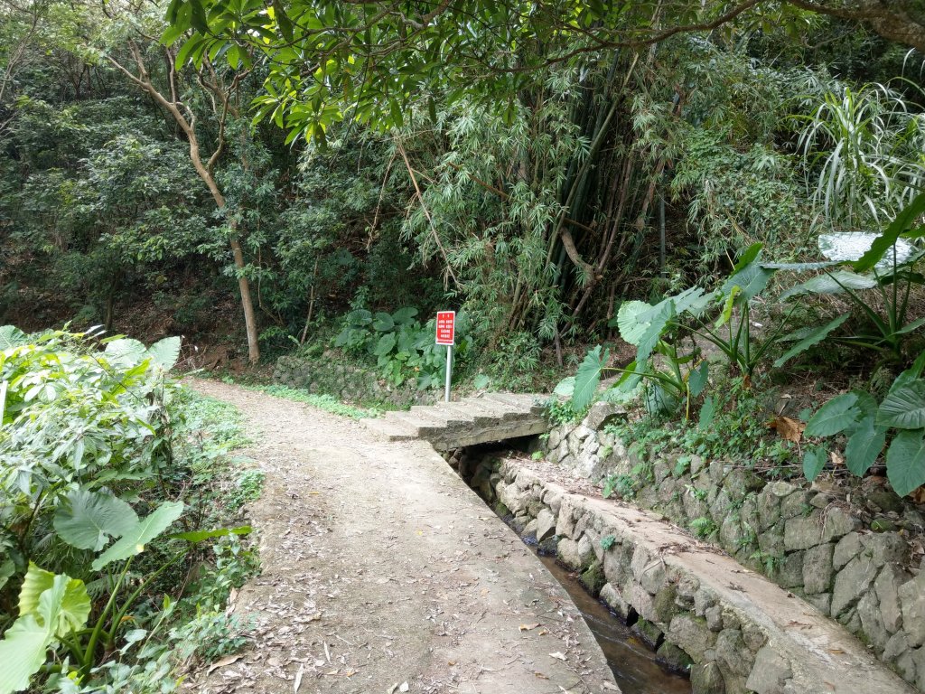 《狗殷勤古道：綠意盎然的樹蔭、潺潺流水的古圳》炎炎夏日首選_1454116