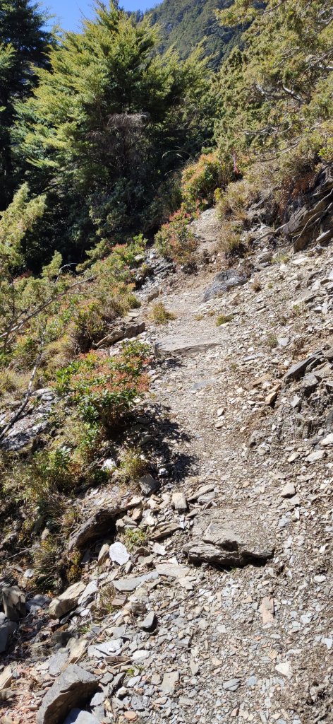 20210213_庫哈諾辛山_1275373