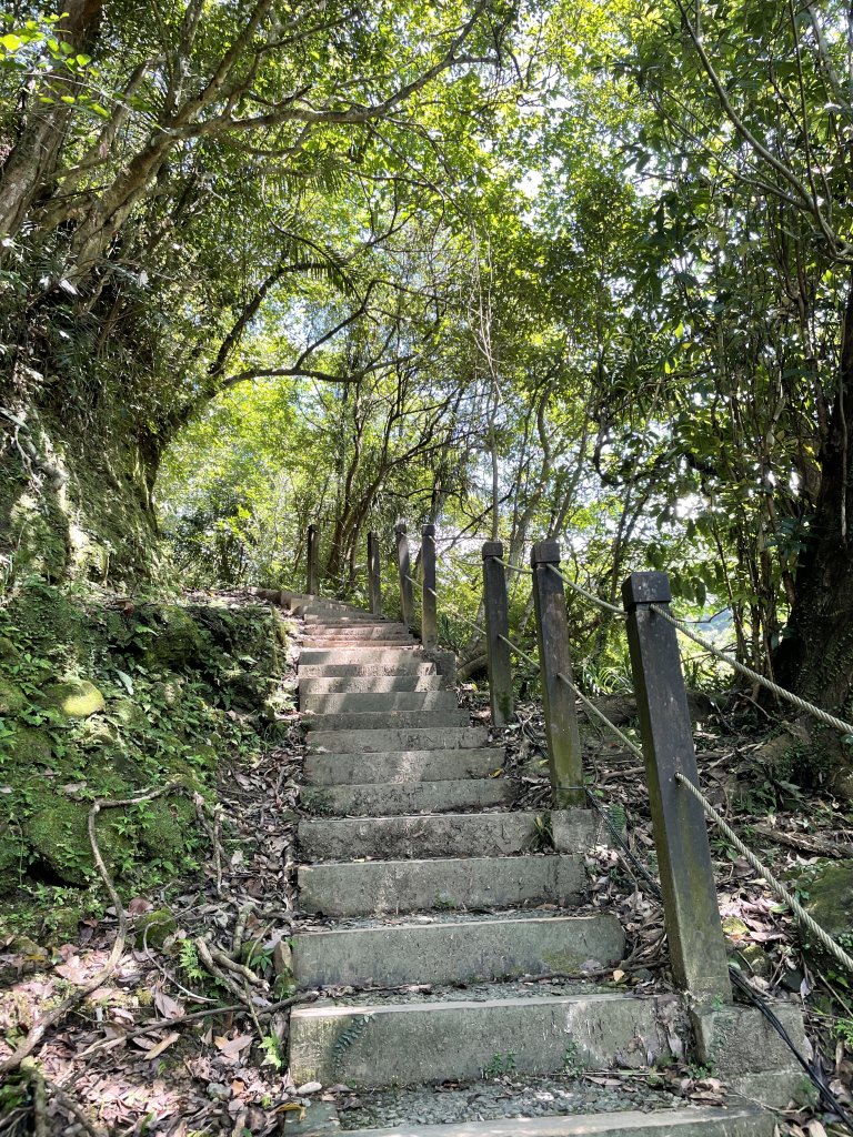 夏天就是要去涼爽的步道健行>>望古瀑布、嶺腳寮山(瀑布)步道_1760590