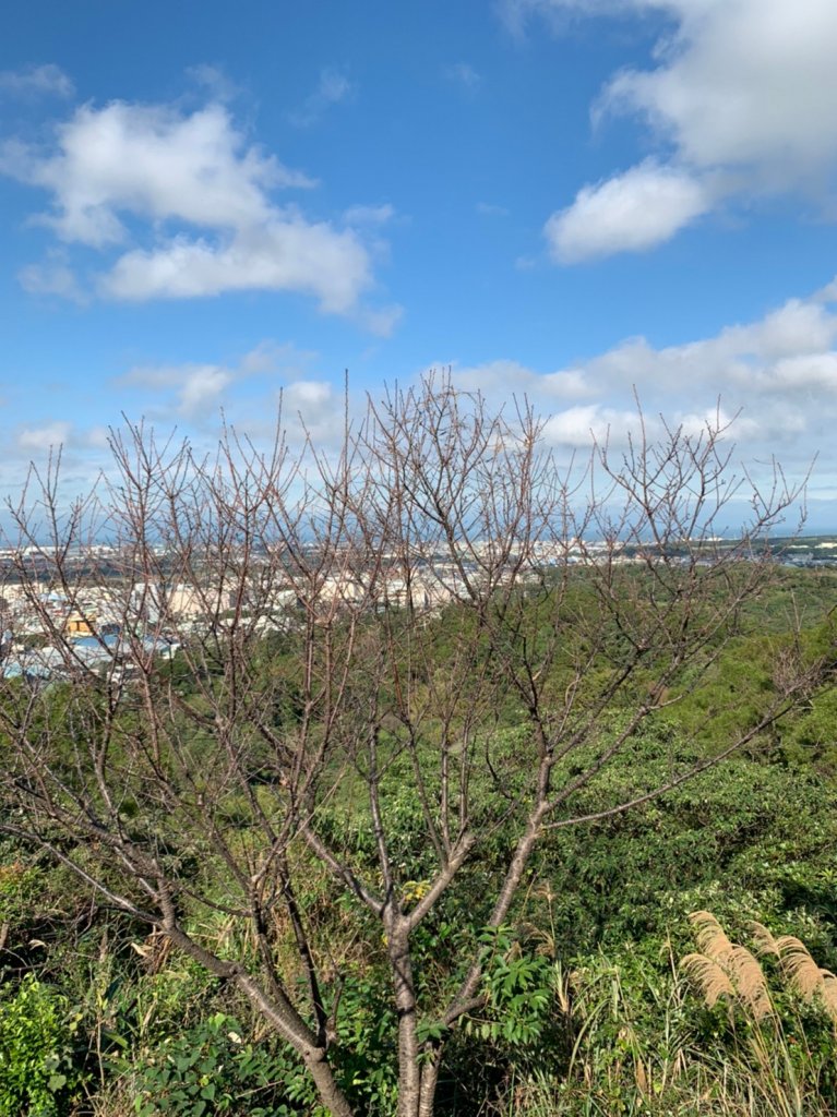 五酒桶山步道封面圖