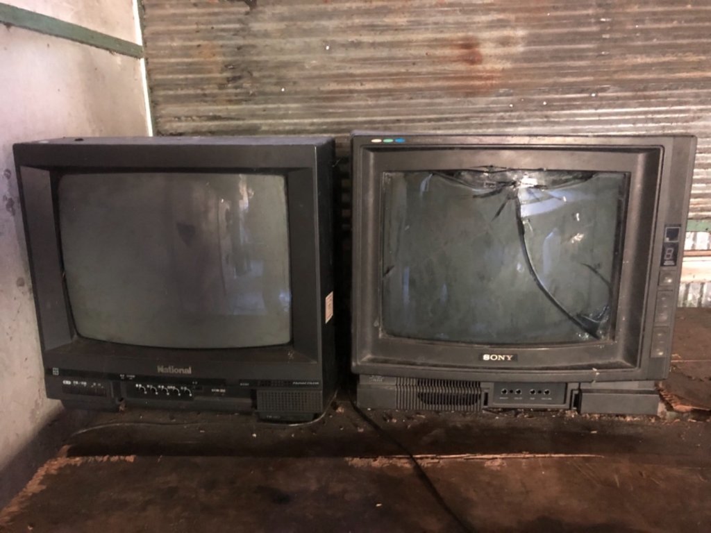 雪山西稜+大安溪神木_553275