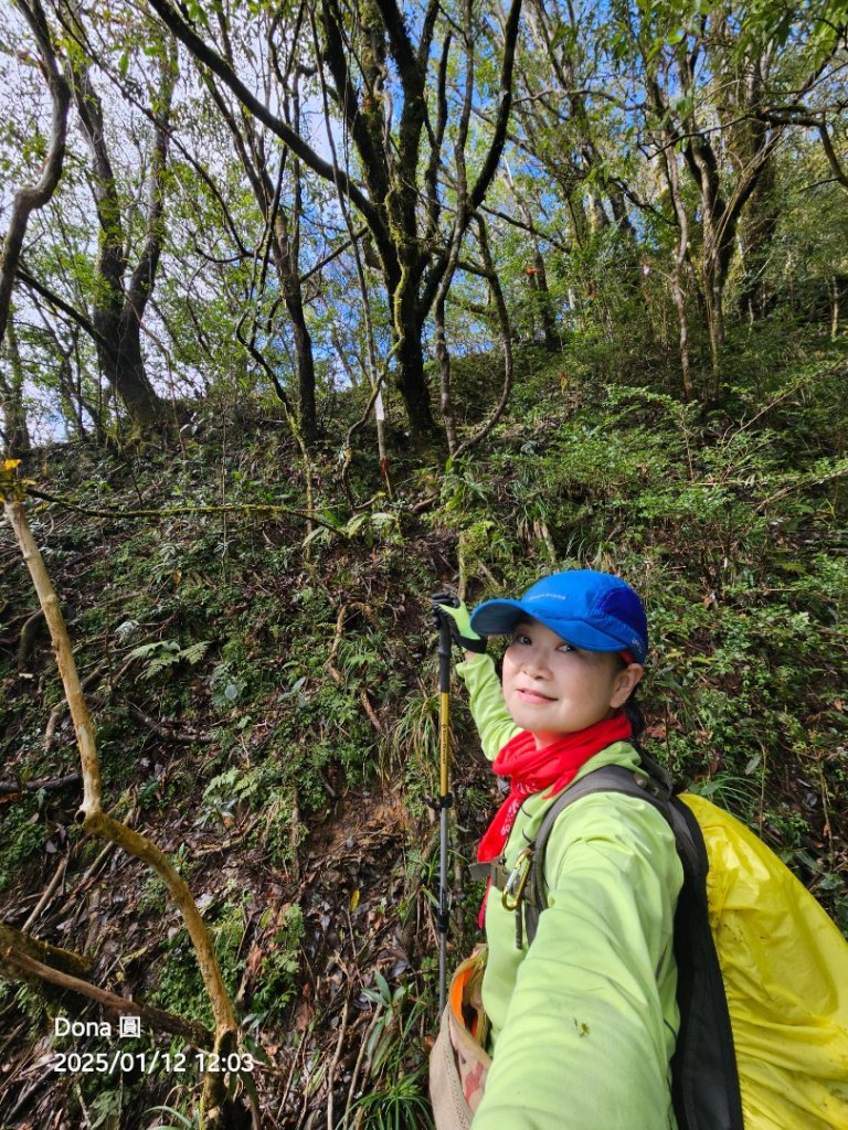 【北插天山】福山上北插天山(整理山徑架繩索布條完工)_2689730