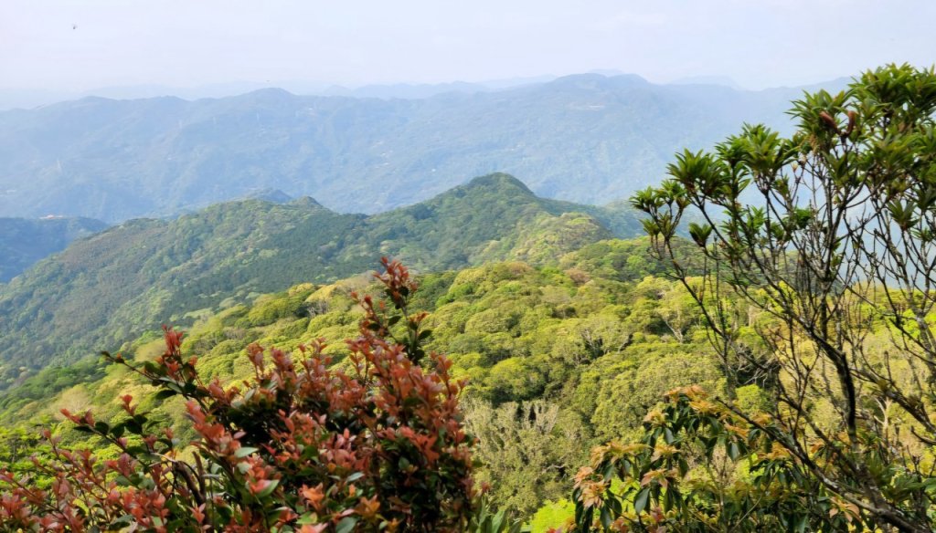 【中級山縱走】志繼山，東眼山，拉卡山，卡外山，東滿步道_2742550