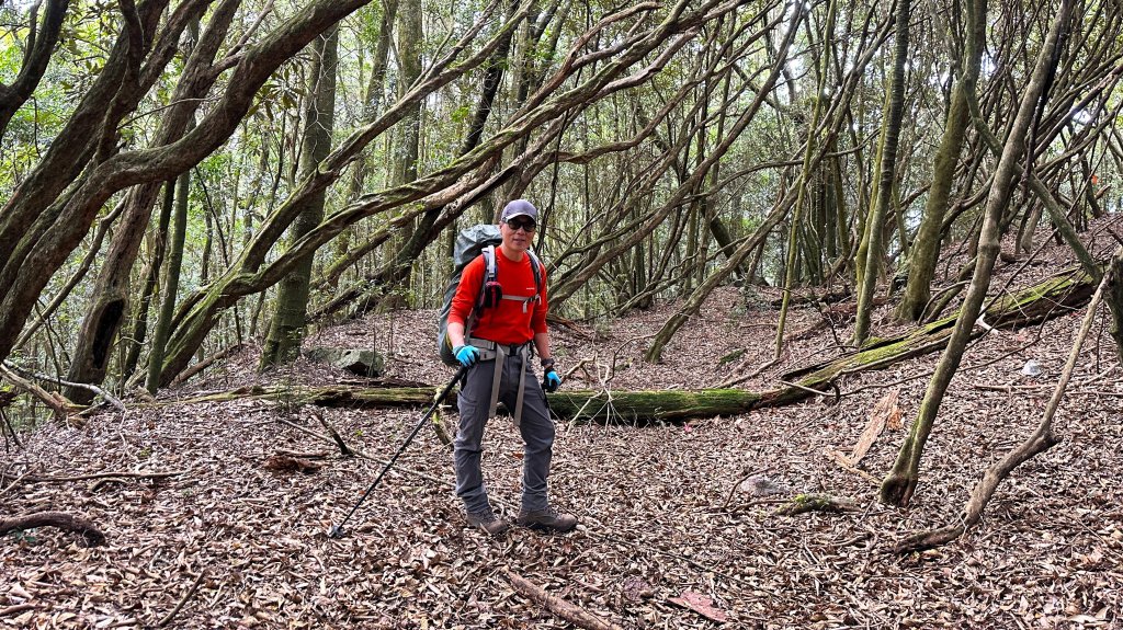 台灣最高如神般存在的大安溪倚天劍巨木探訪_2747947