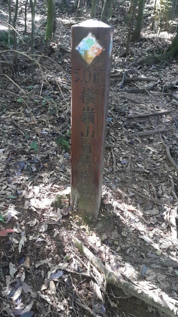 橫嶺山自然步道 2017 08 18_156543