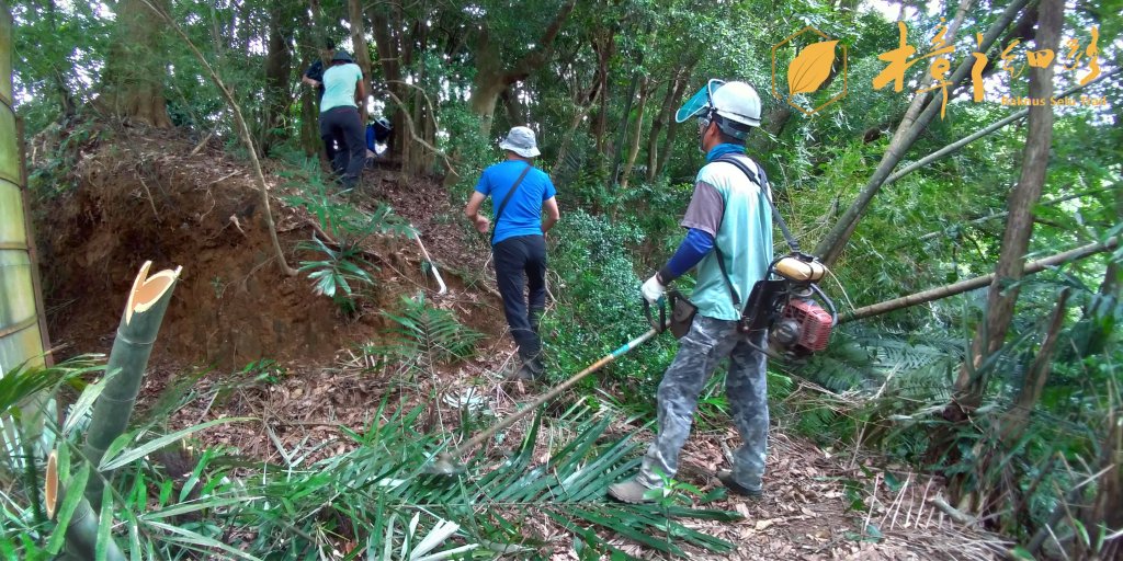 樟之細路 | 08/24砍草任務_658018