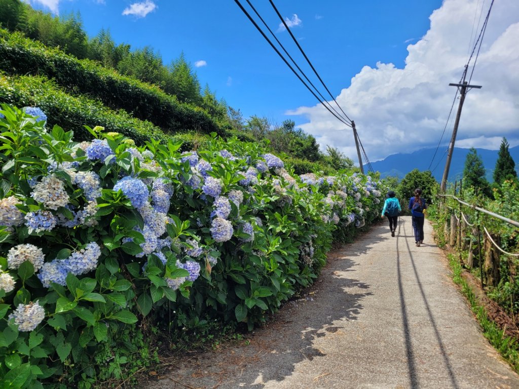 低陸山封面圖