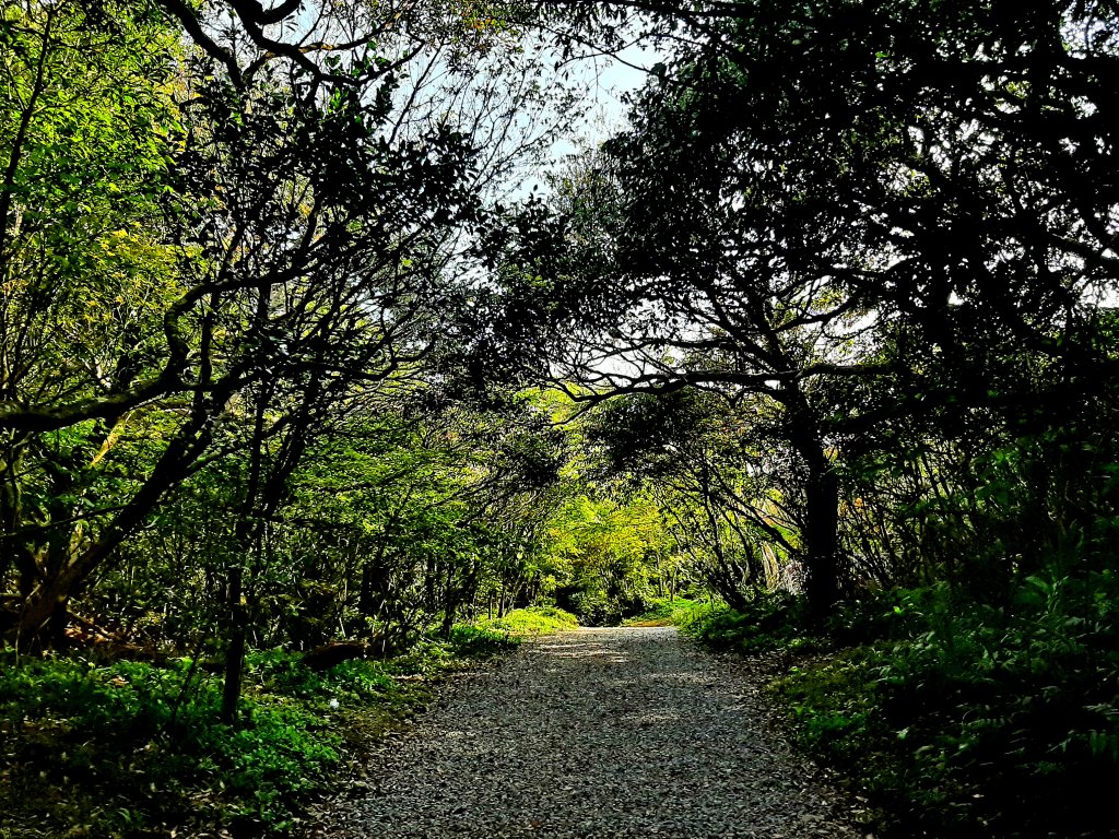 走遍陽明山：大屯山系｜二子坪、菜公坑山步道_2072094