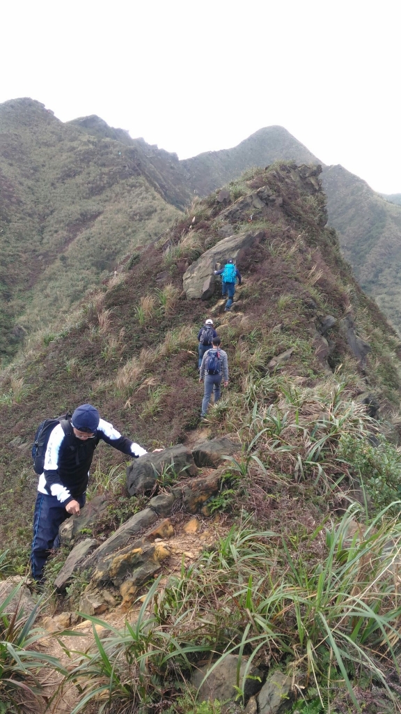 黃金五、六稜: 劍龍稜、鋸齒稜，茶壺山_94532