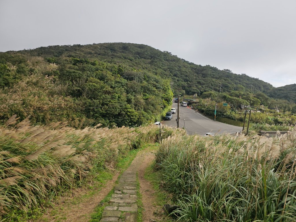 2025臺北大縱走第三段：小油坑至風櫃口_2973474