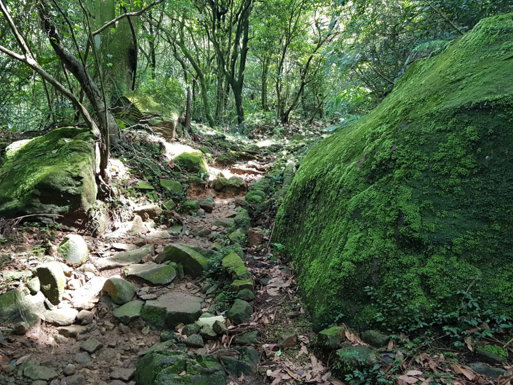 金包里大路。日人路_1104810