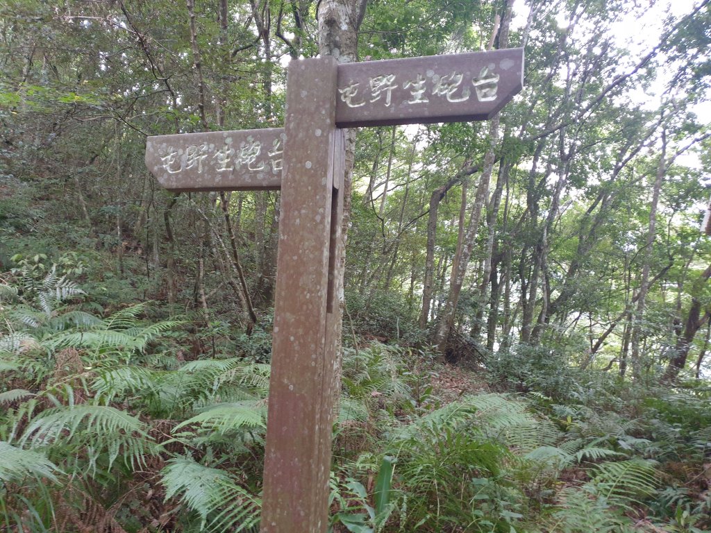 芝生毛台山封面圖