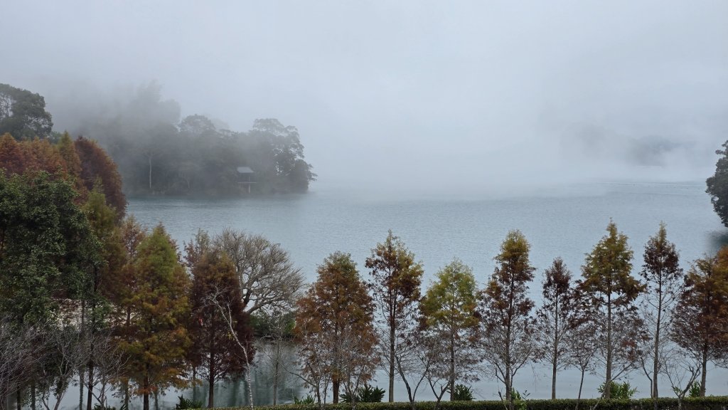 中部最美的落羽松，最美的自行車道，向山遊客中心的落羽松，最迷人的時候，美的不可思議，彷彿置身在潑墨畫封面圖