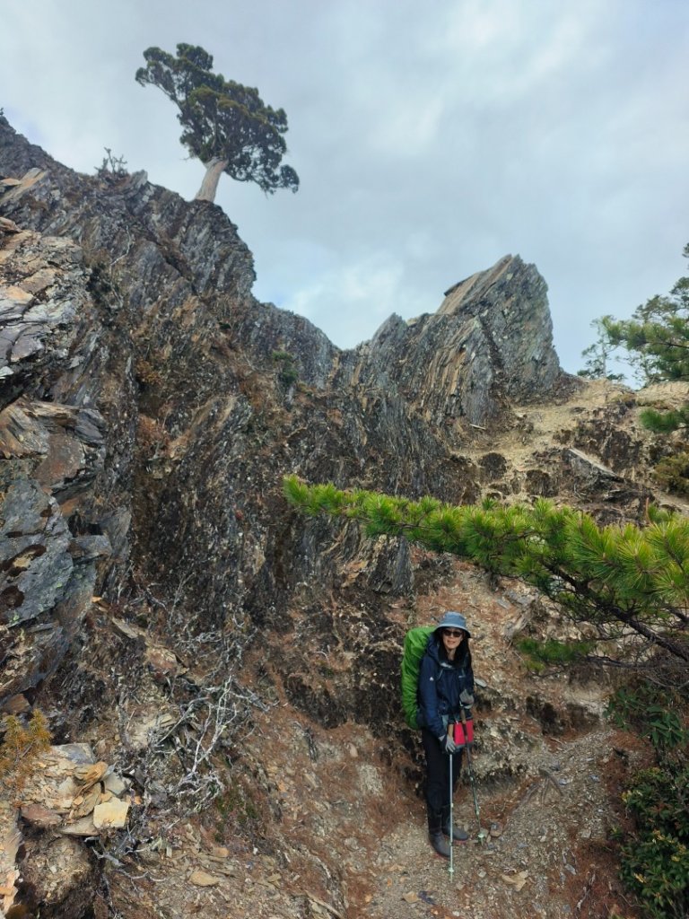 20240320 馬博8天縱走~第五天，馬里亞文路山，馬利加南山_2471235