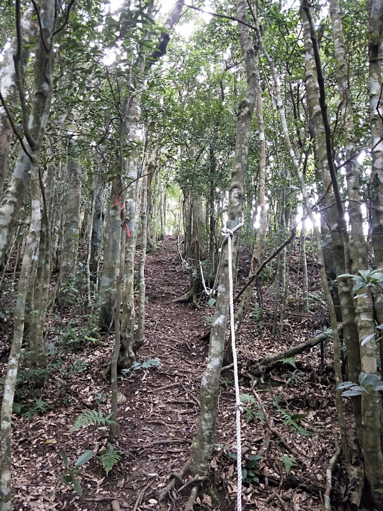 202009 組合山，雲森四瀑_1106111