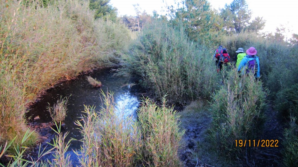 白姑大山 - 障礙連連 嗆辣迷人！_1923555